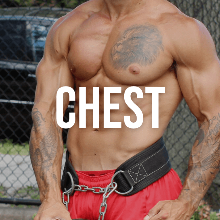 Chest Program