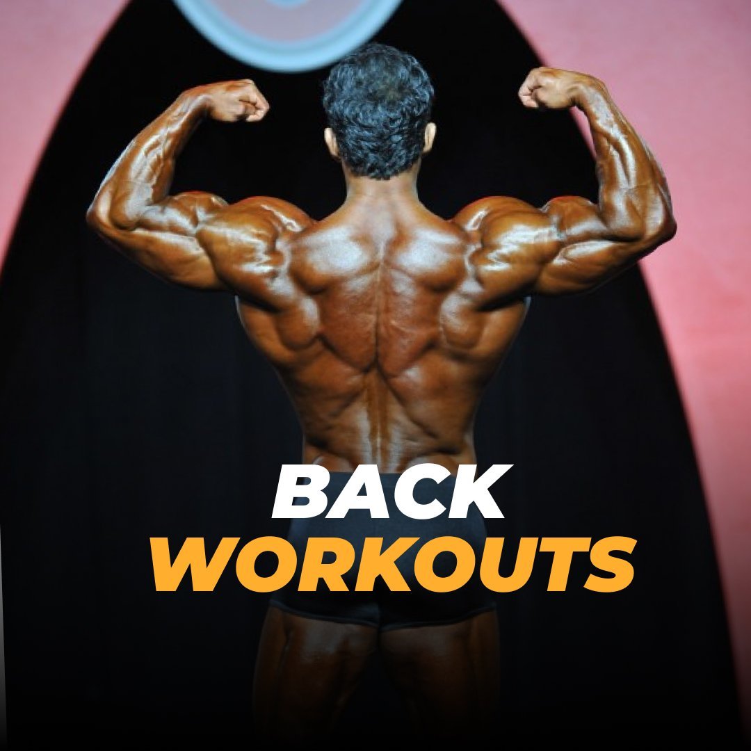 Back workouts