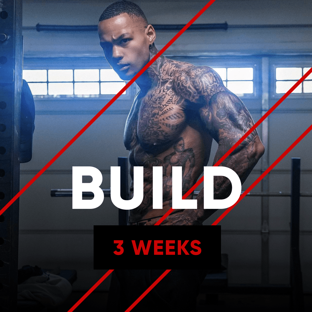 Advanced Muscle Build