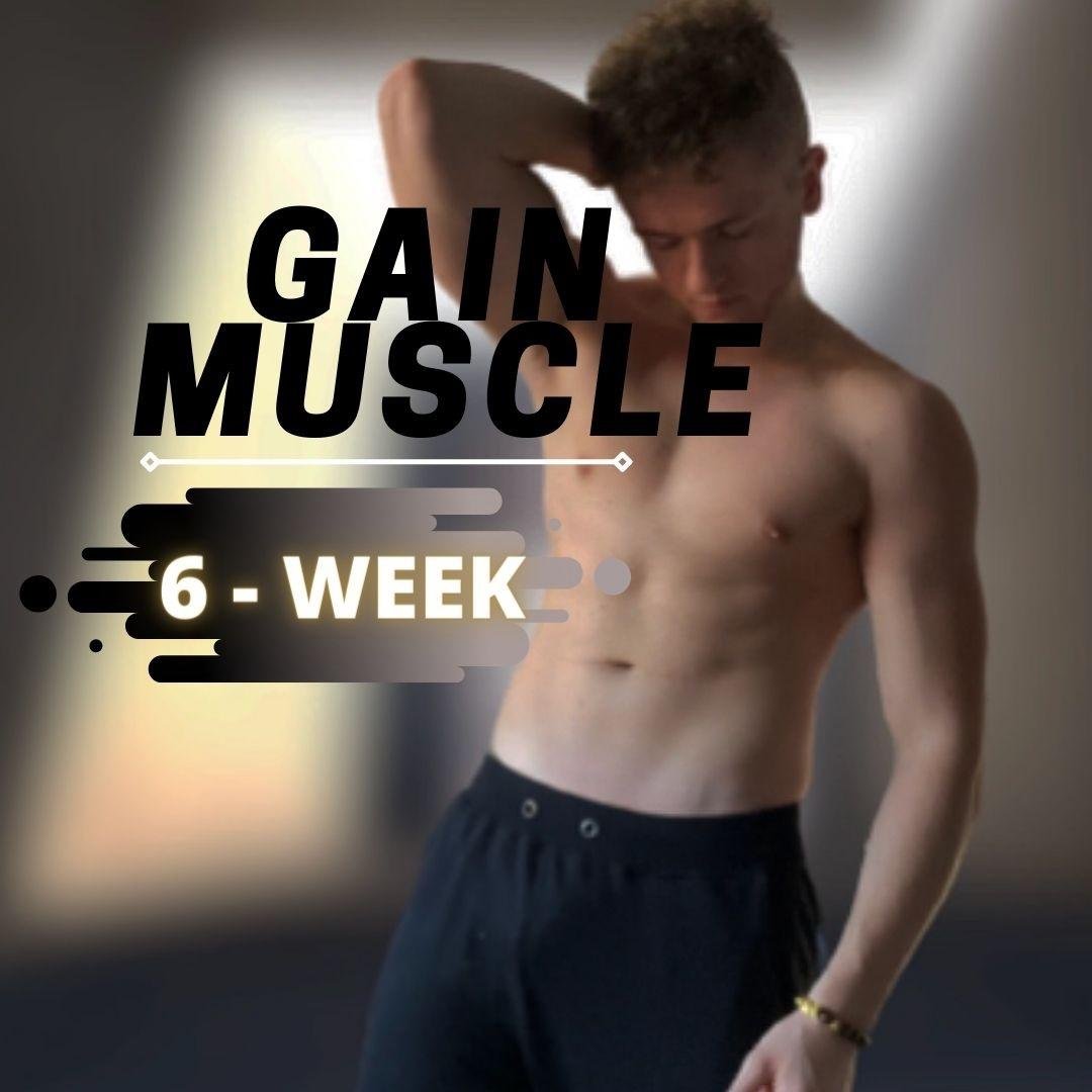 GAIN MUSCLE