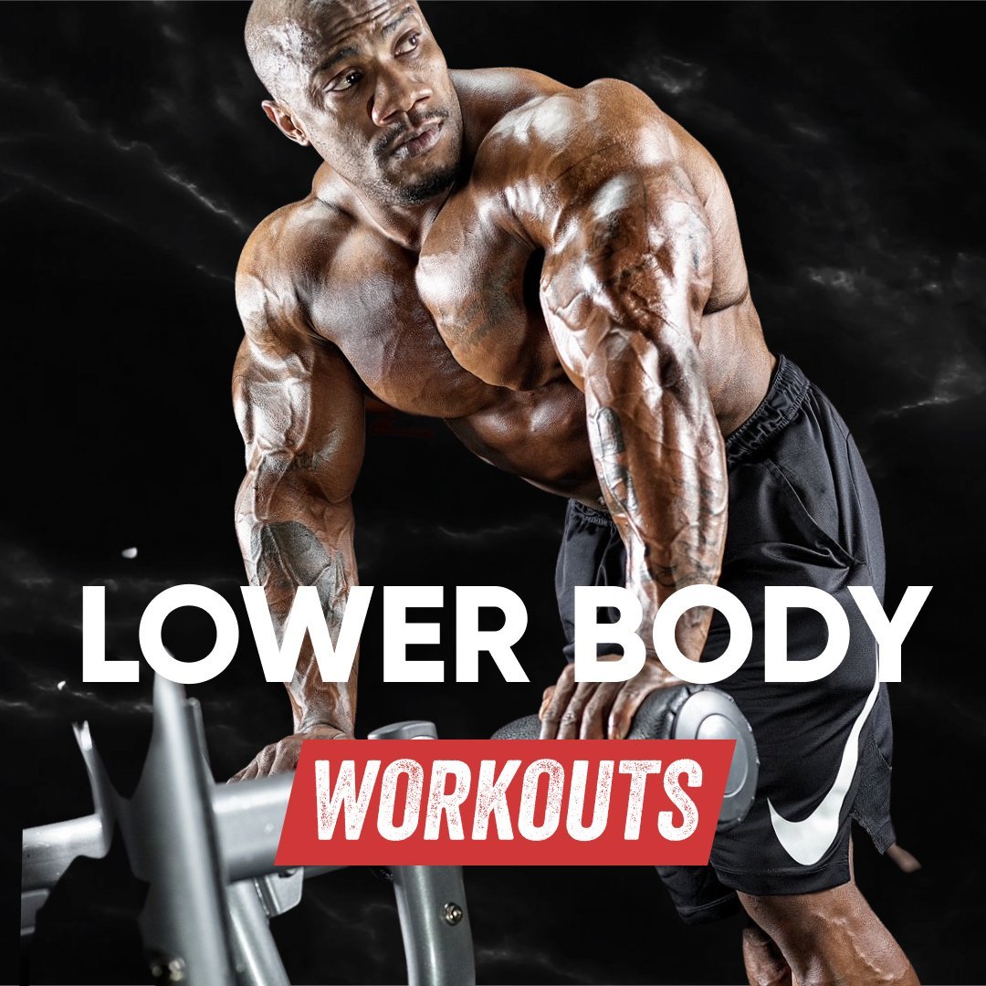 Lower Body