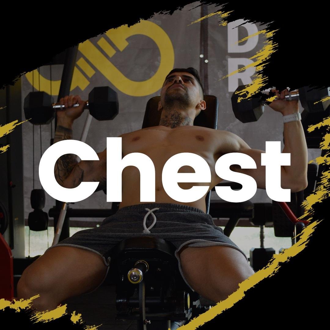 CHEST