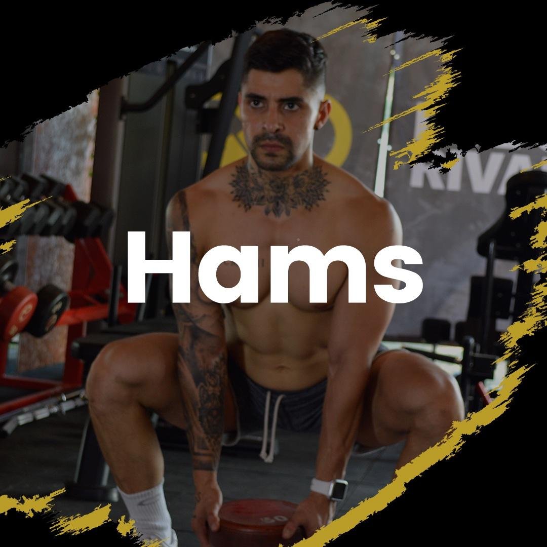 HAMS
