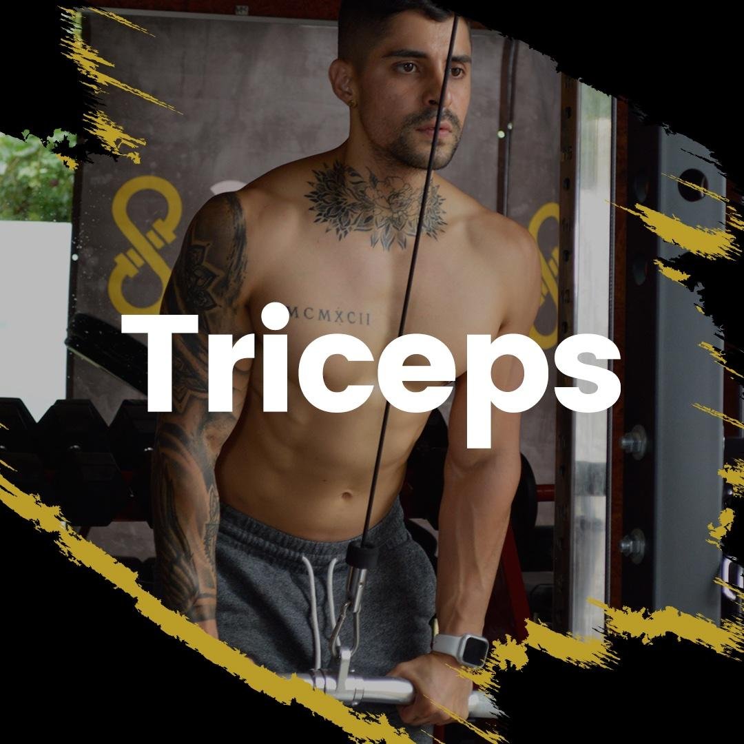 TRICEPS