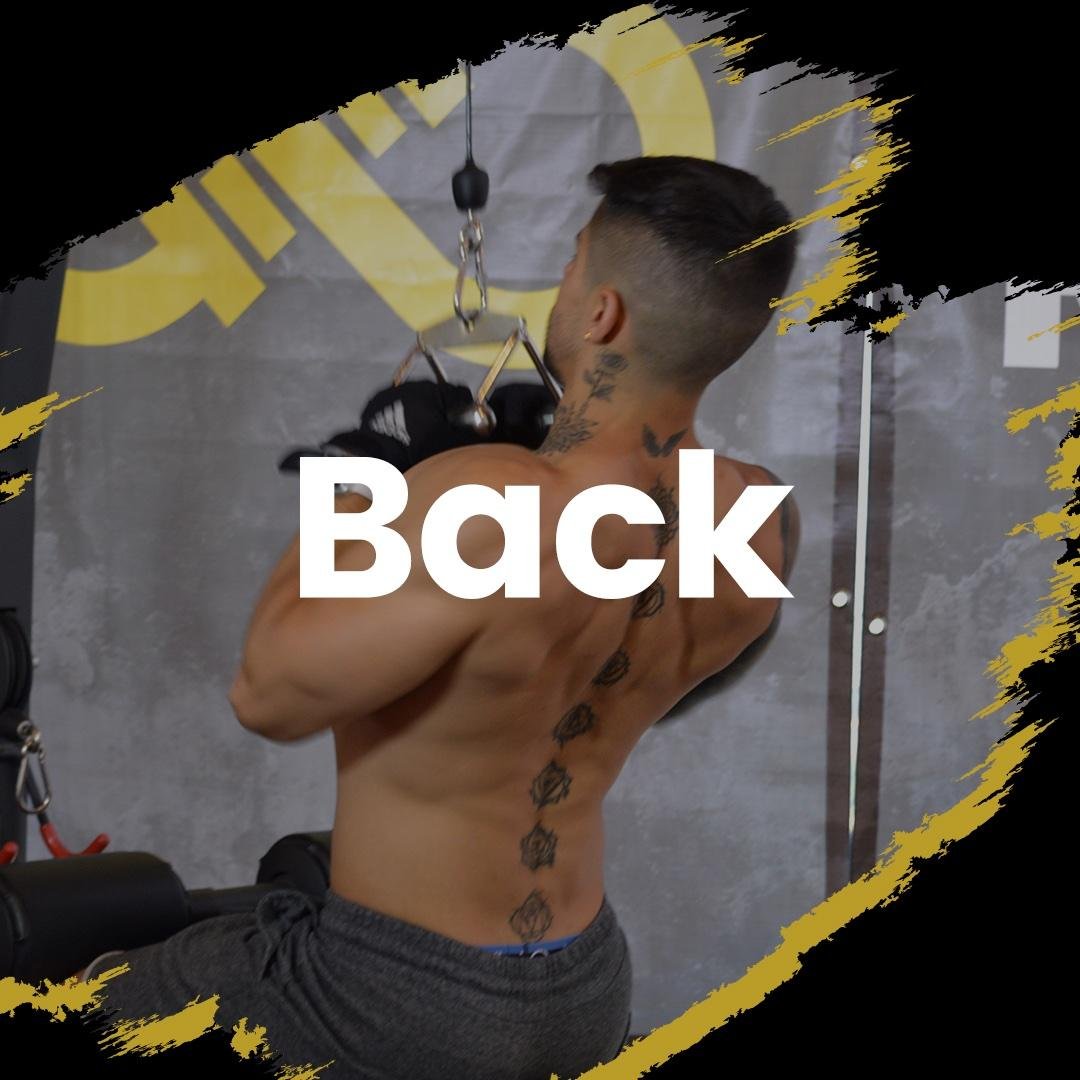 BACK
