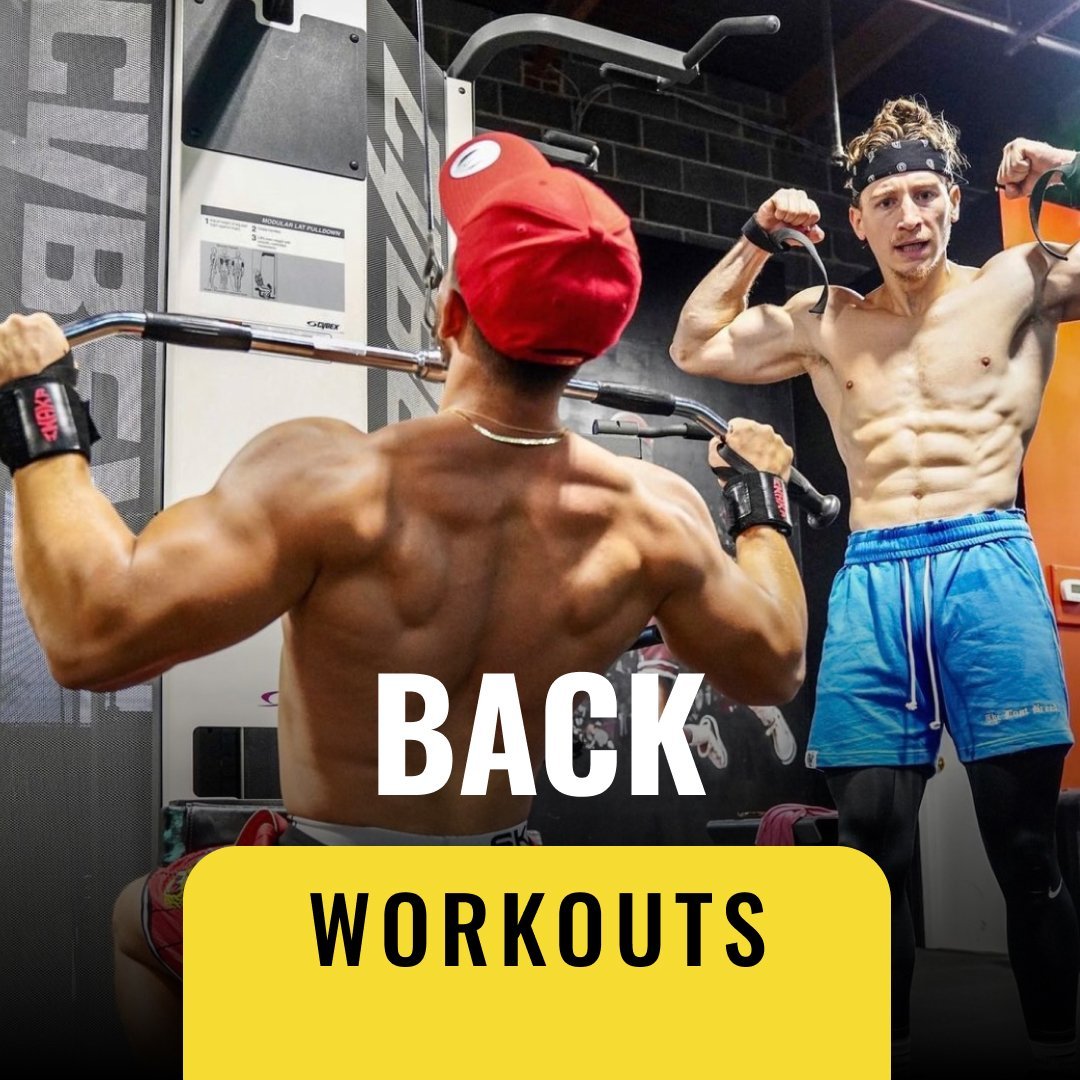 Back Workouts