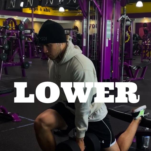 Lower Body