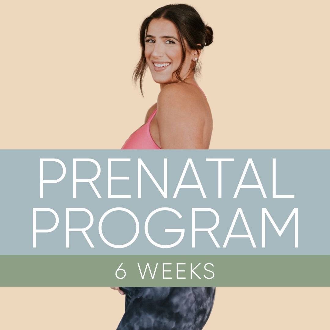 Prenatal Program