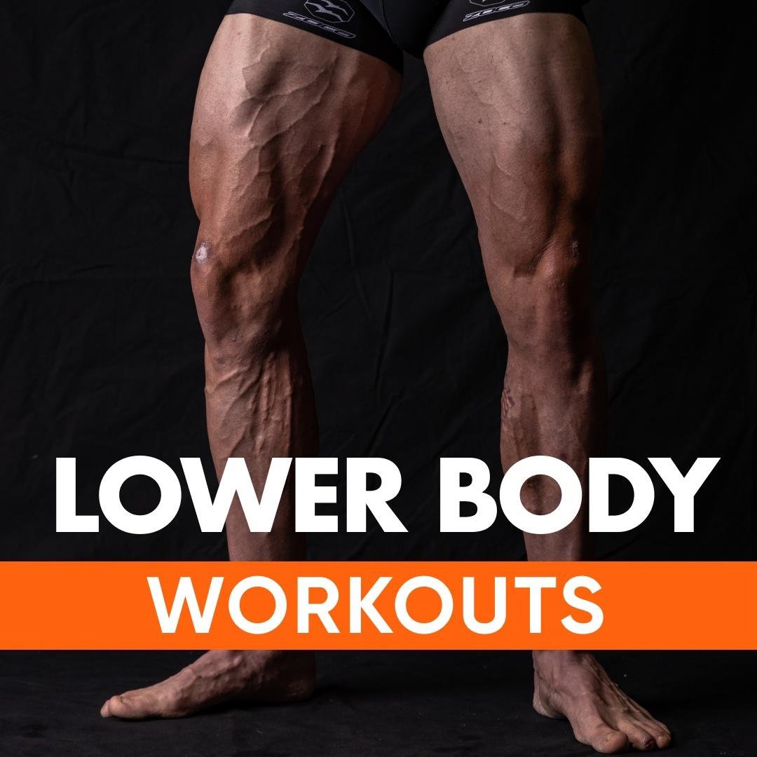 Lower Body