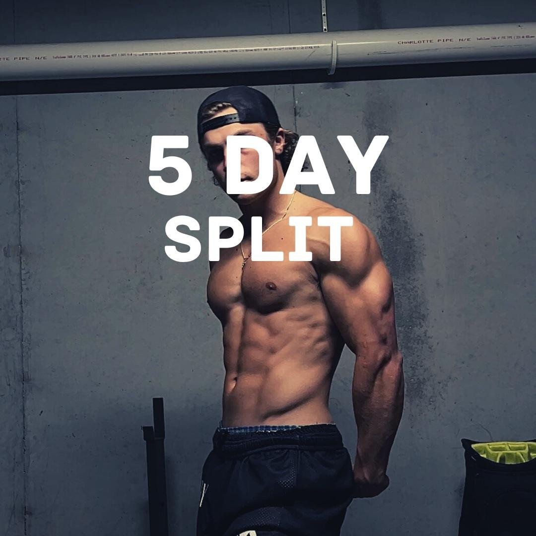 5 Day Split