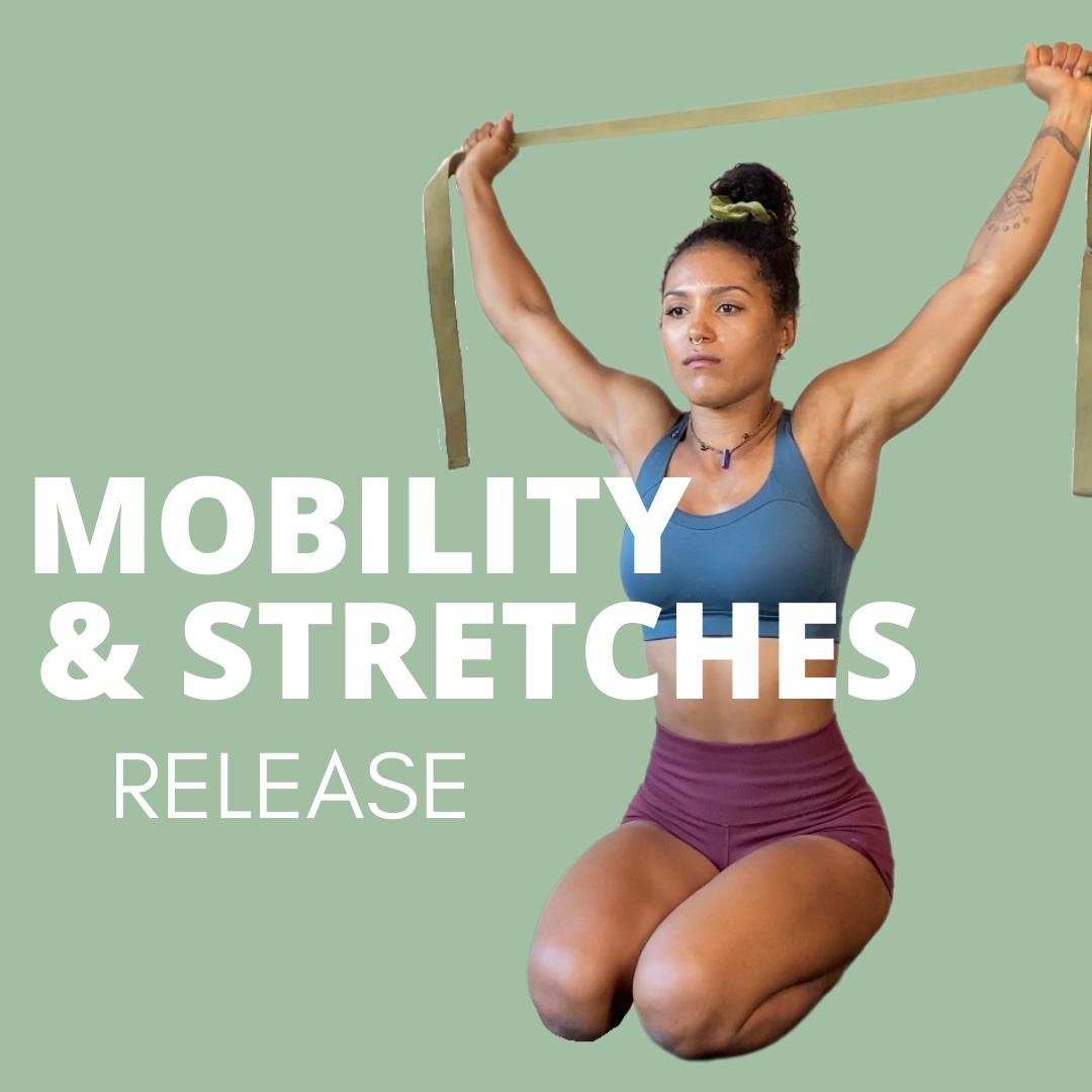 Stretches + Mobility