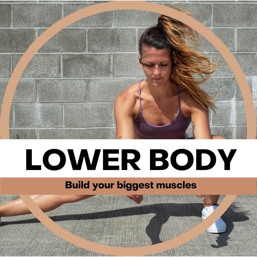 Lower Body