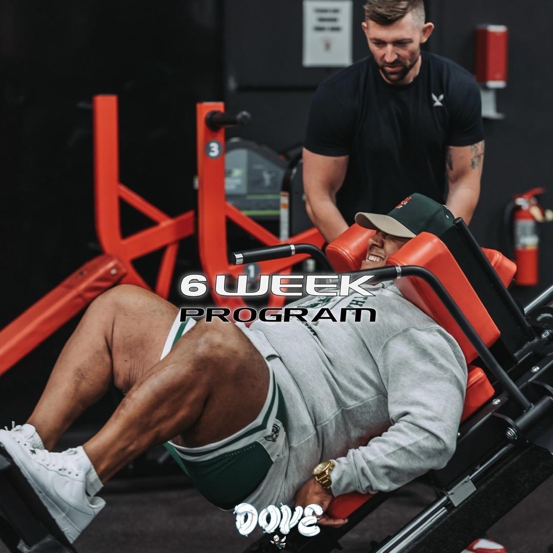 Muscle Builder