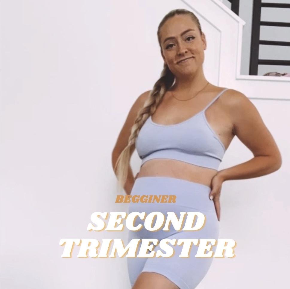 Beginner 2nd Trimester