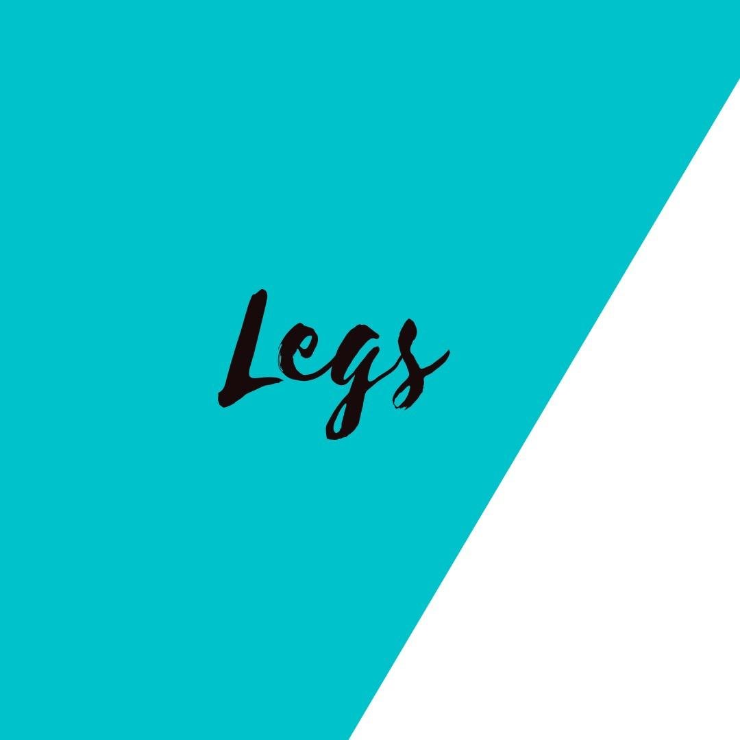 Leg