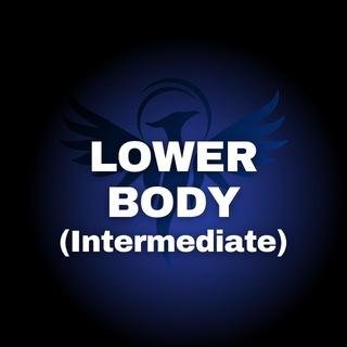 Lower Body