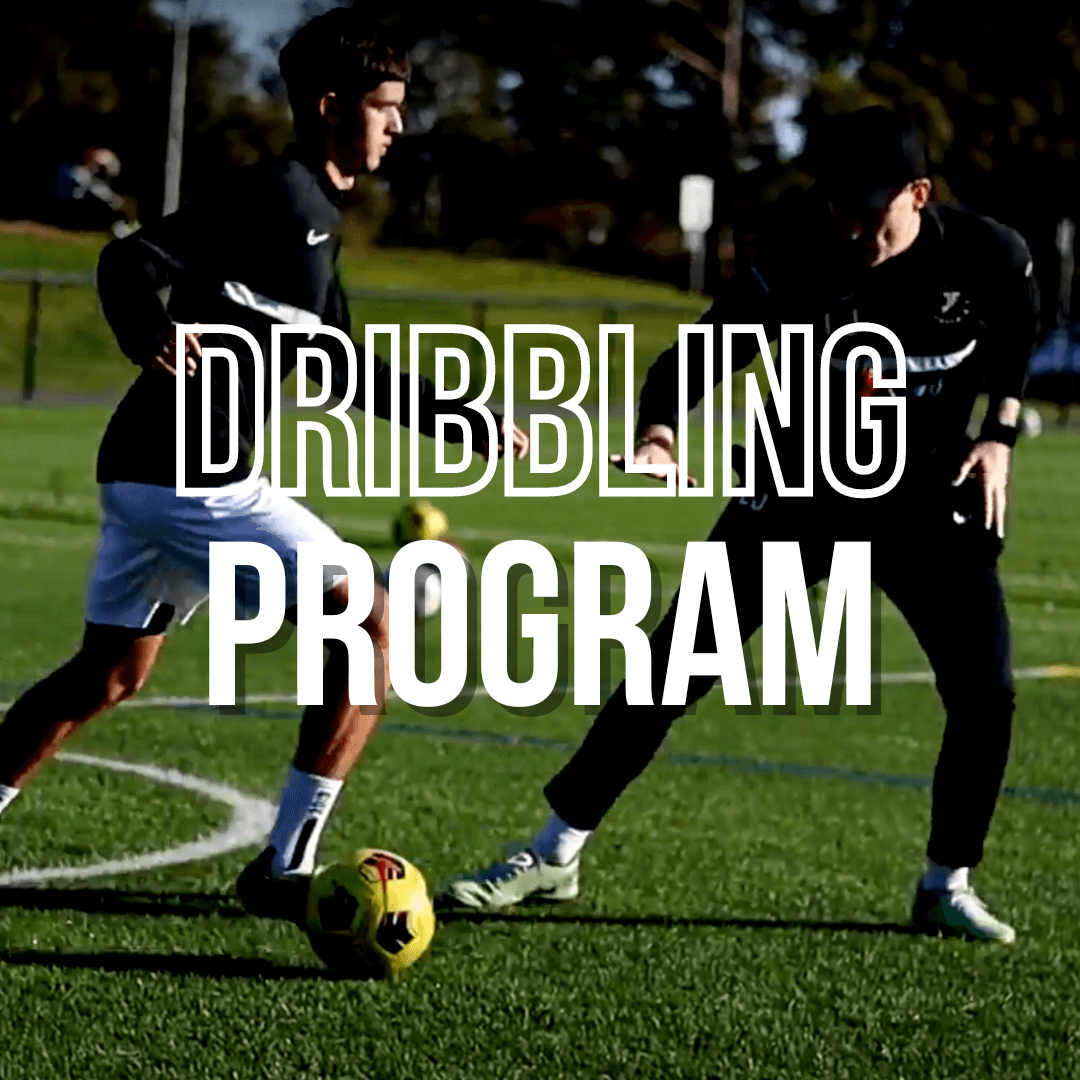 DRIBBLING PROGRAM