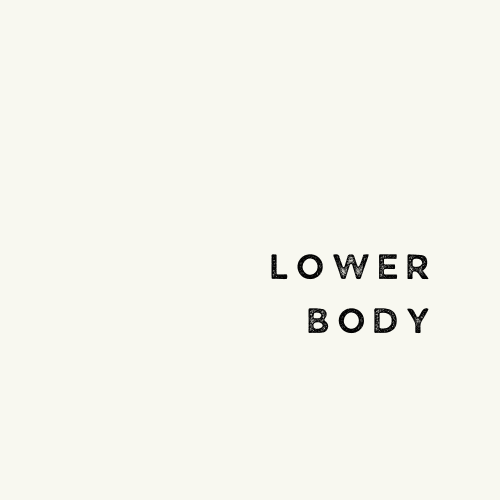 Lower Body Workouts