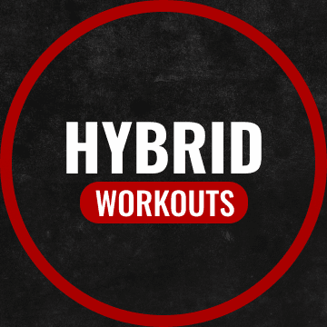 Hybrid Training