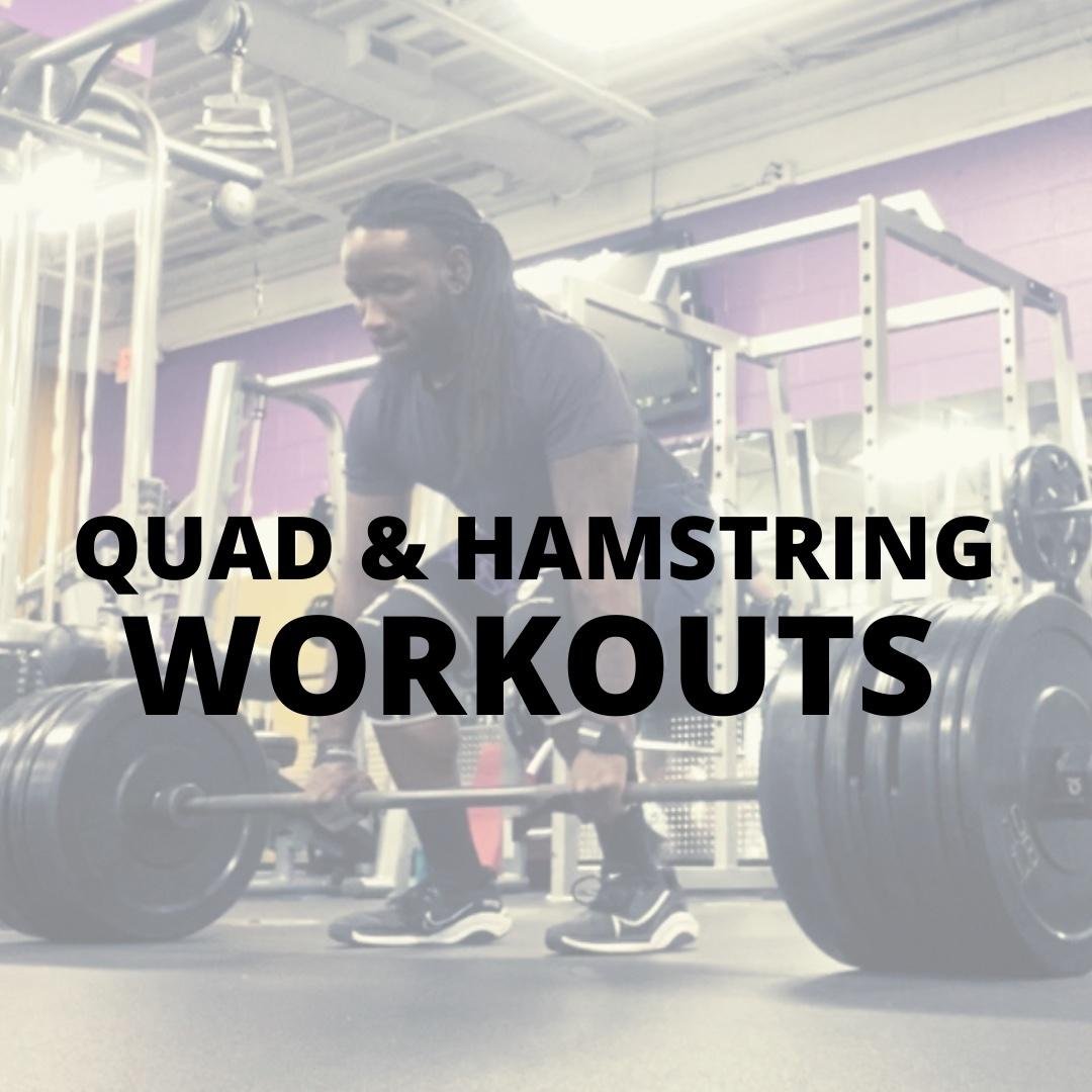 Quads & Hamstrings