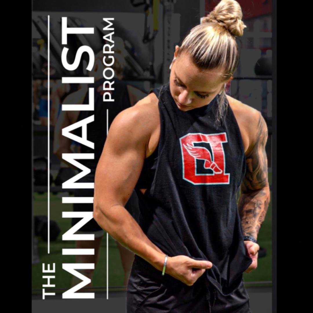 The Minimalist Program