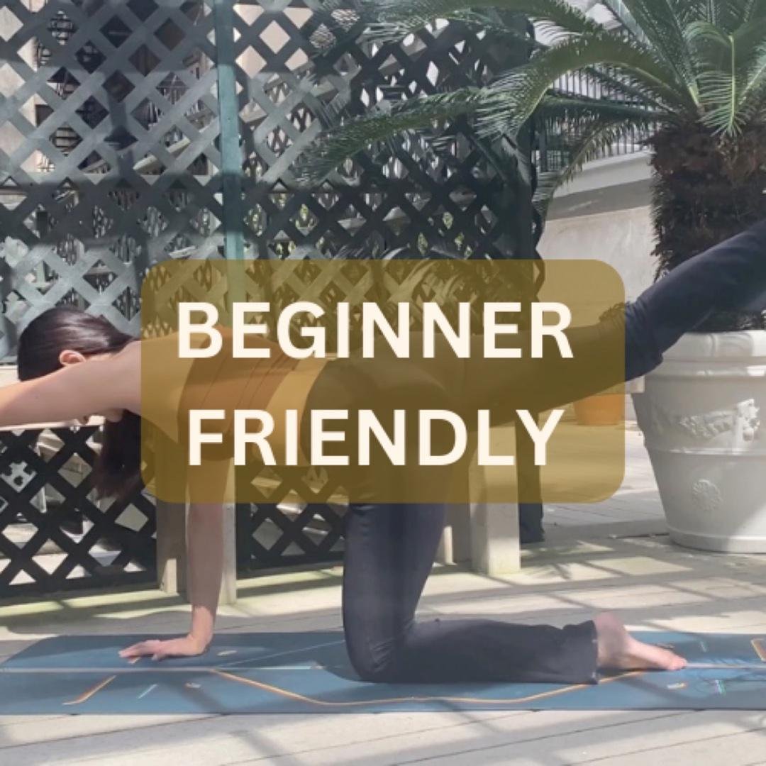 BEGINNER FRIENDLY