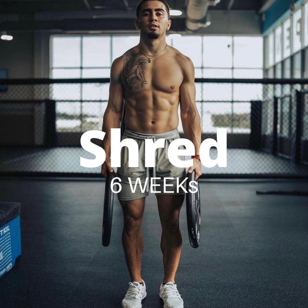 SHRED PROGRAM