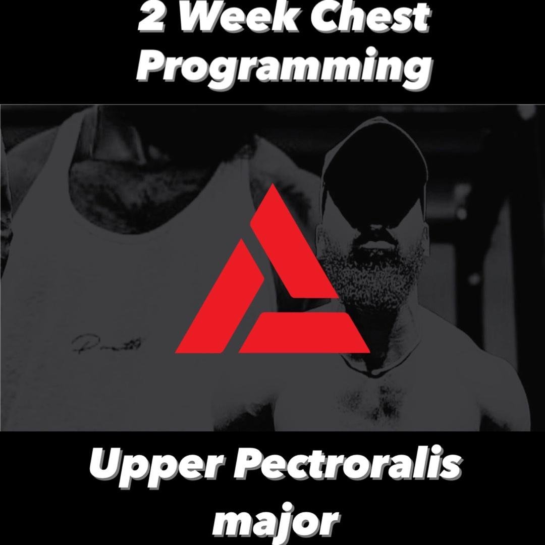 Upper Pect Major