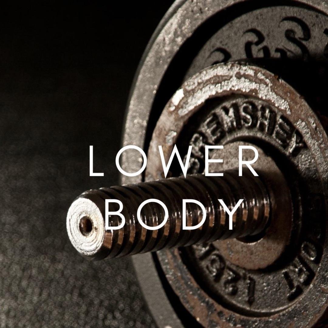 Lower Body