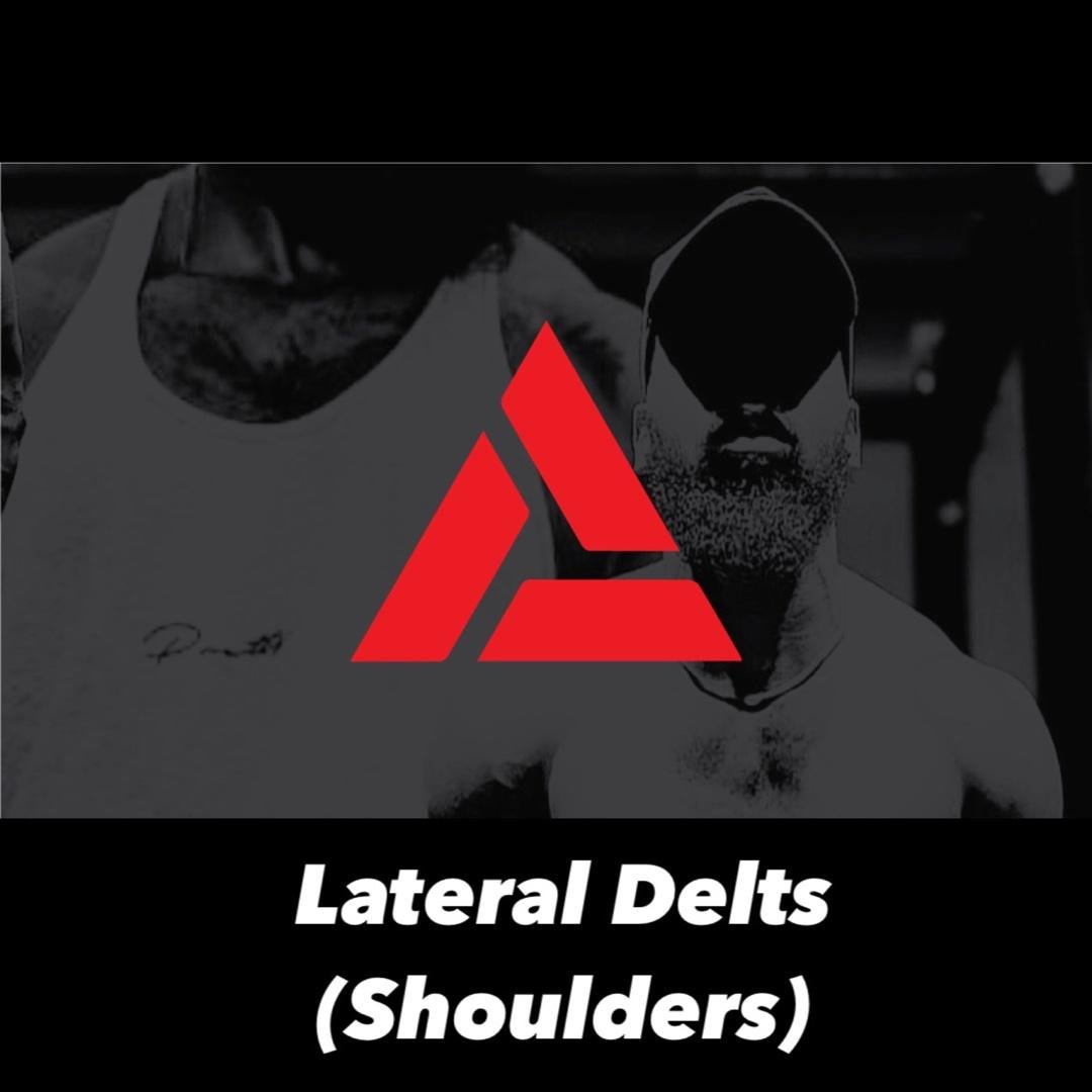 Lateral Deltoids