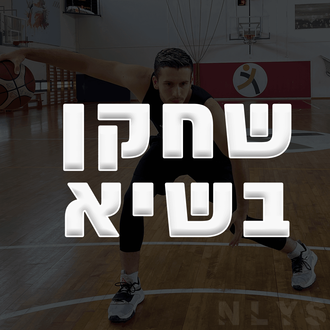 כל תוכניות האימון שיש באפליקציה 