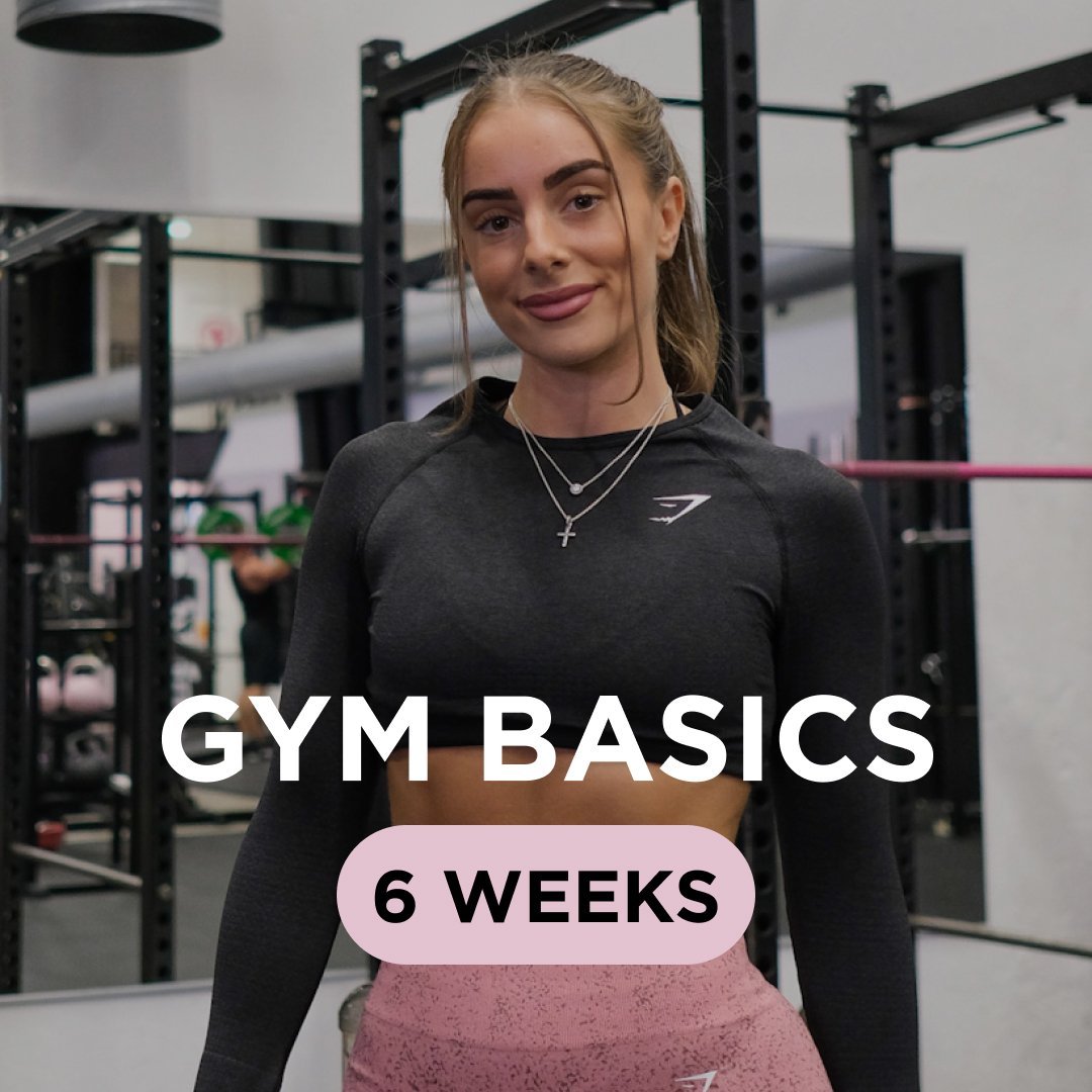 Gym Basics