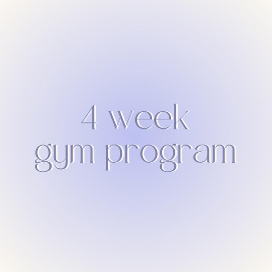 Gym Program 1.0
