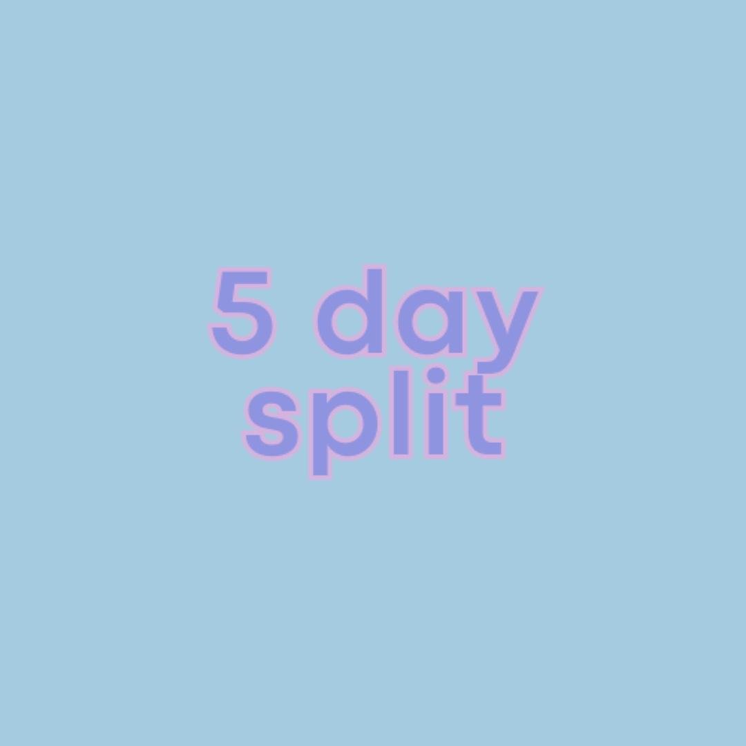 5 Day Gym Split