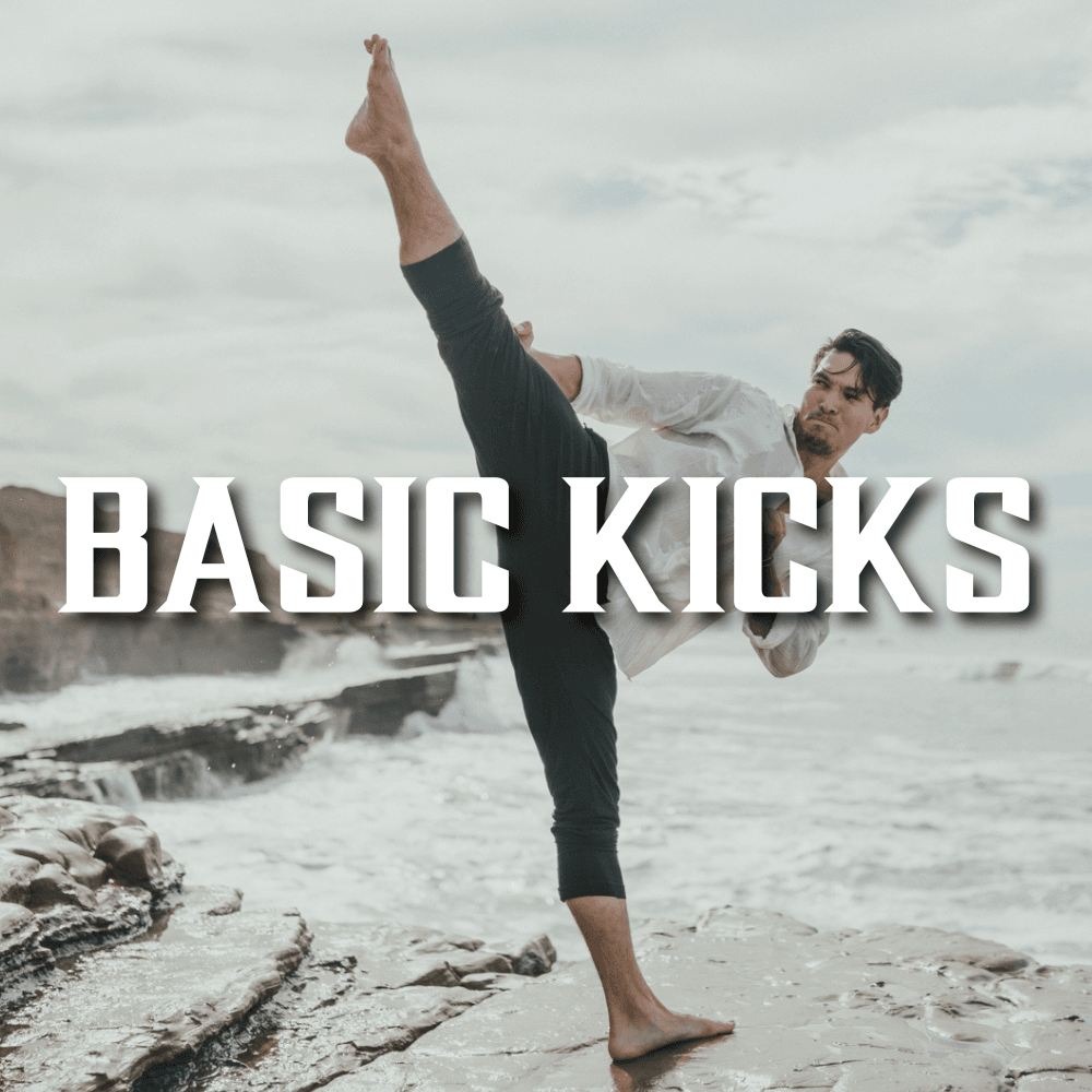 Basic Kicks Series