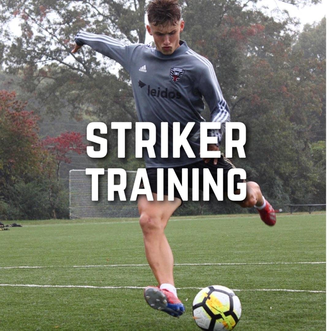 Striker Training