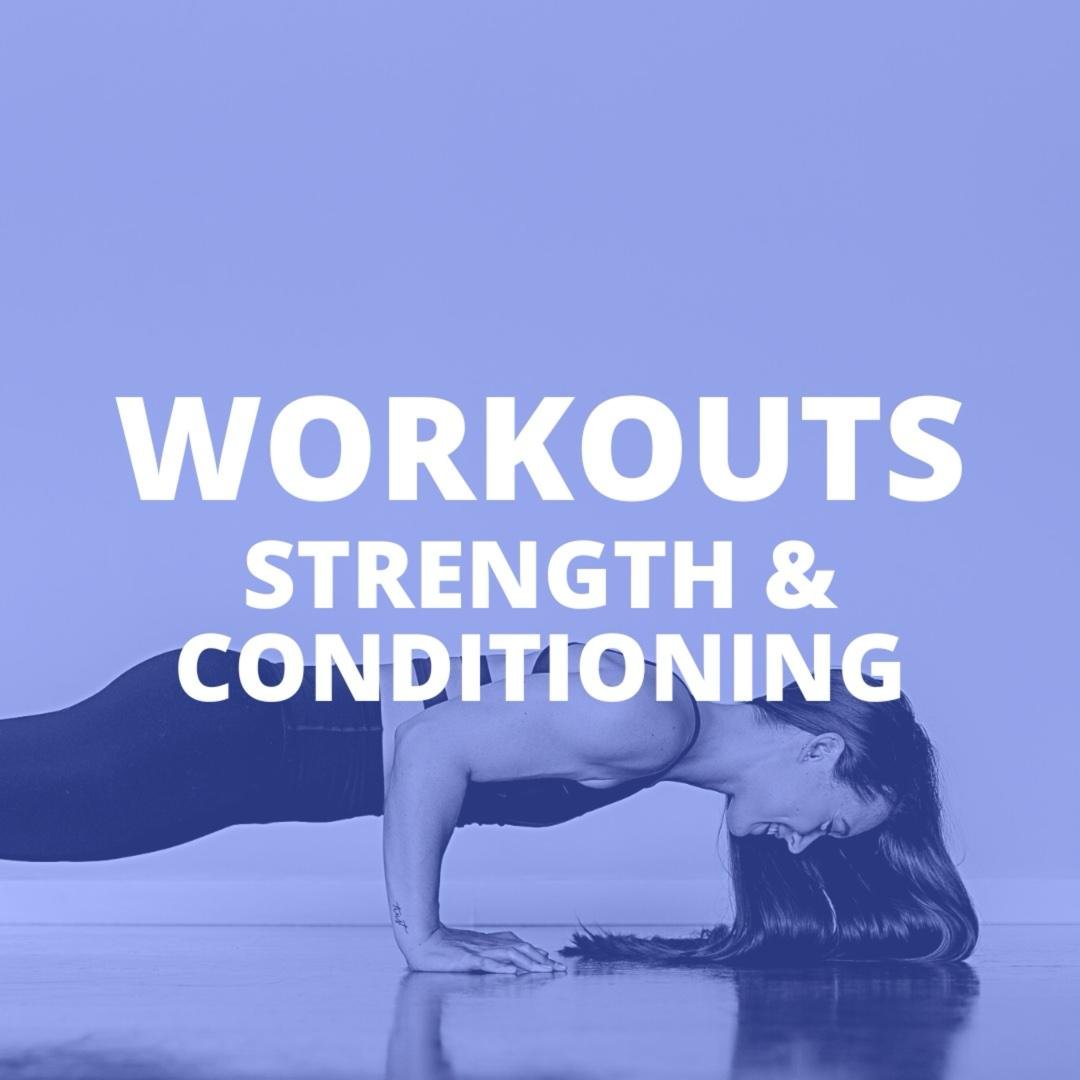 S&C Workouts