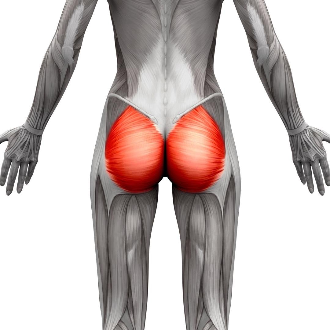 Glutes