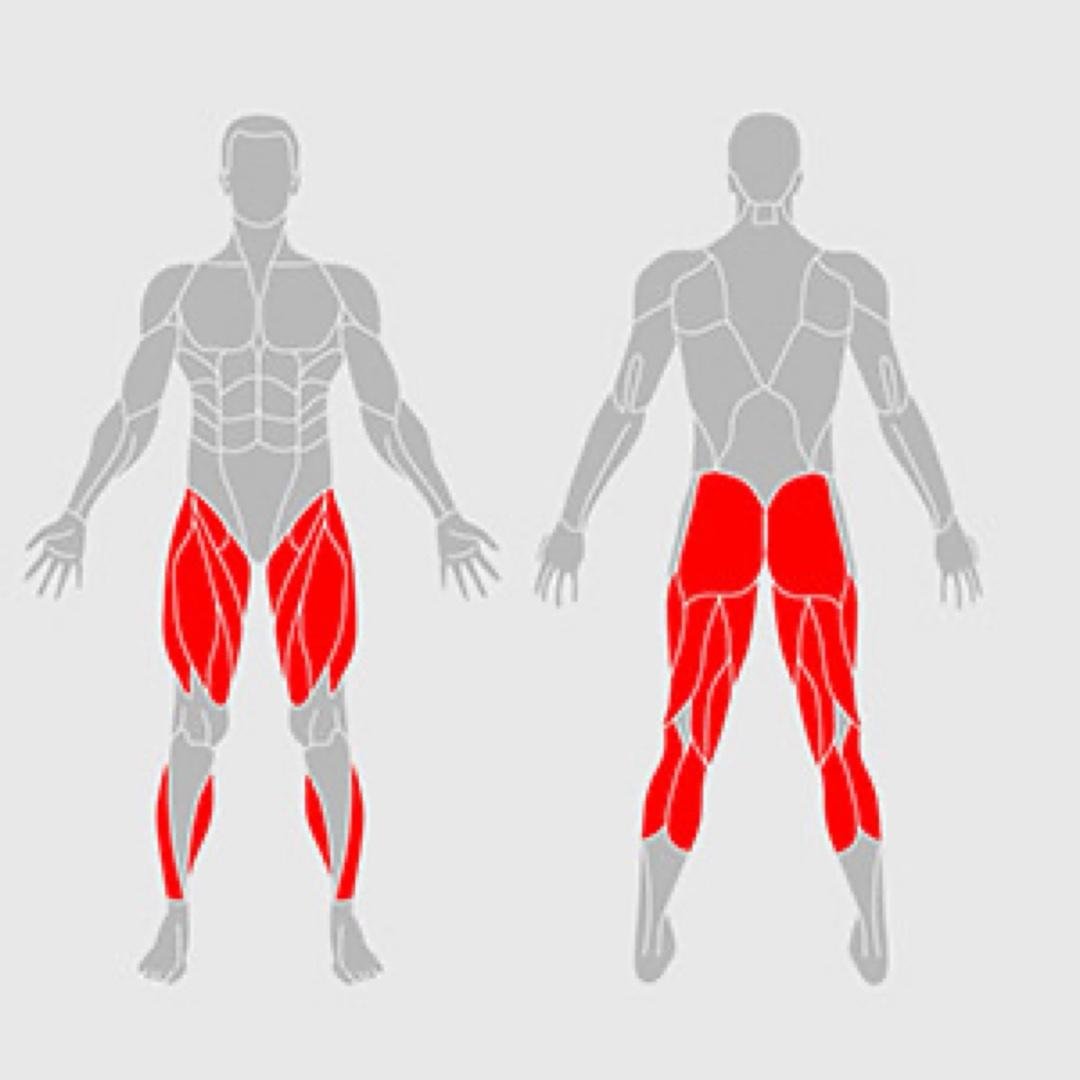 Lower Body