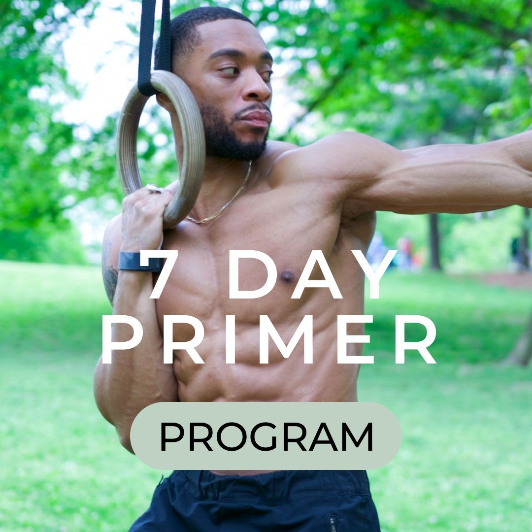7 Day Primer