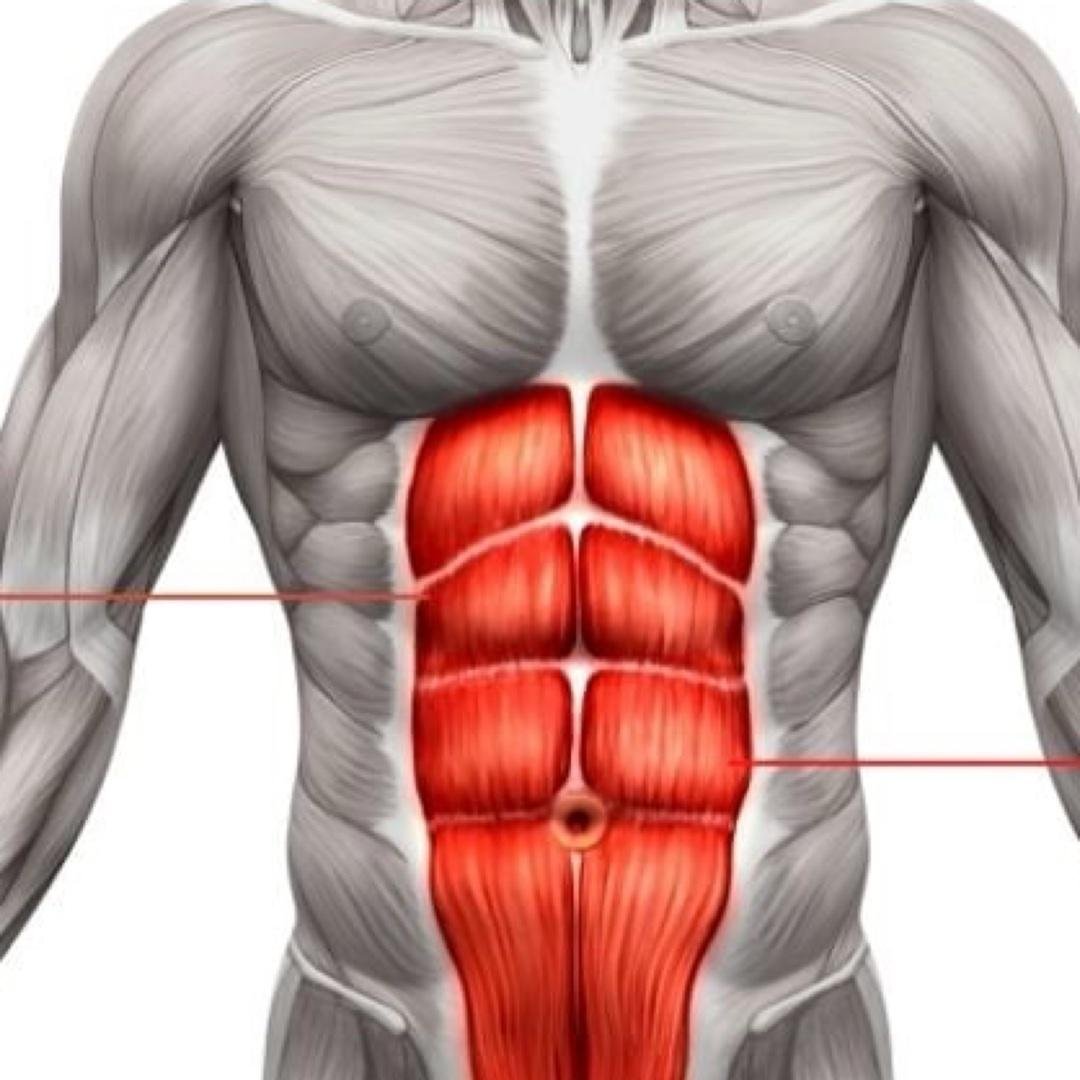 Abs