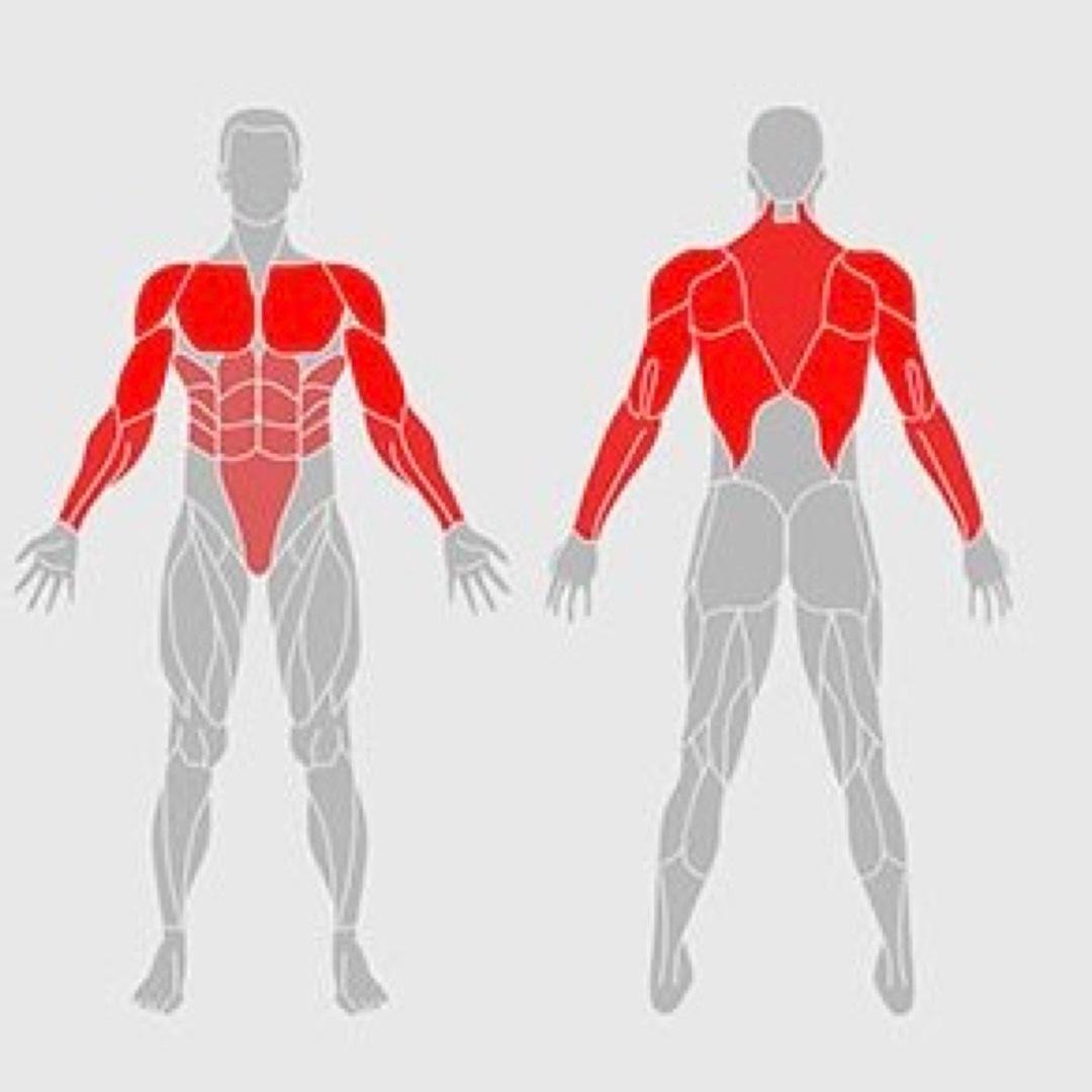 Upper Body