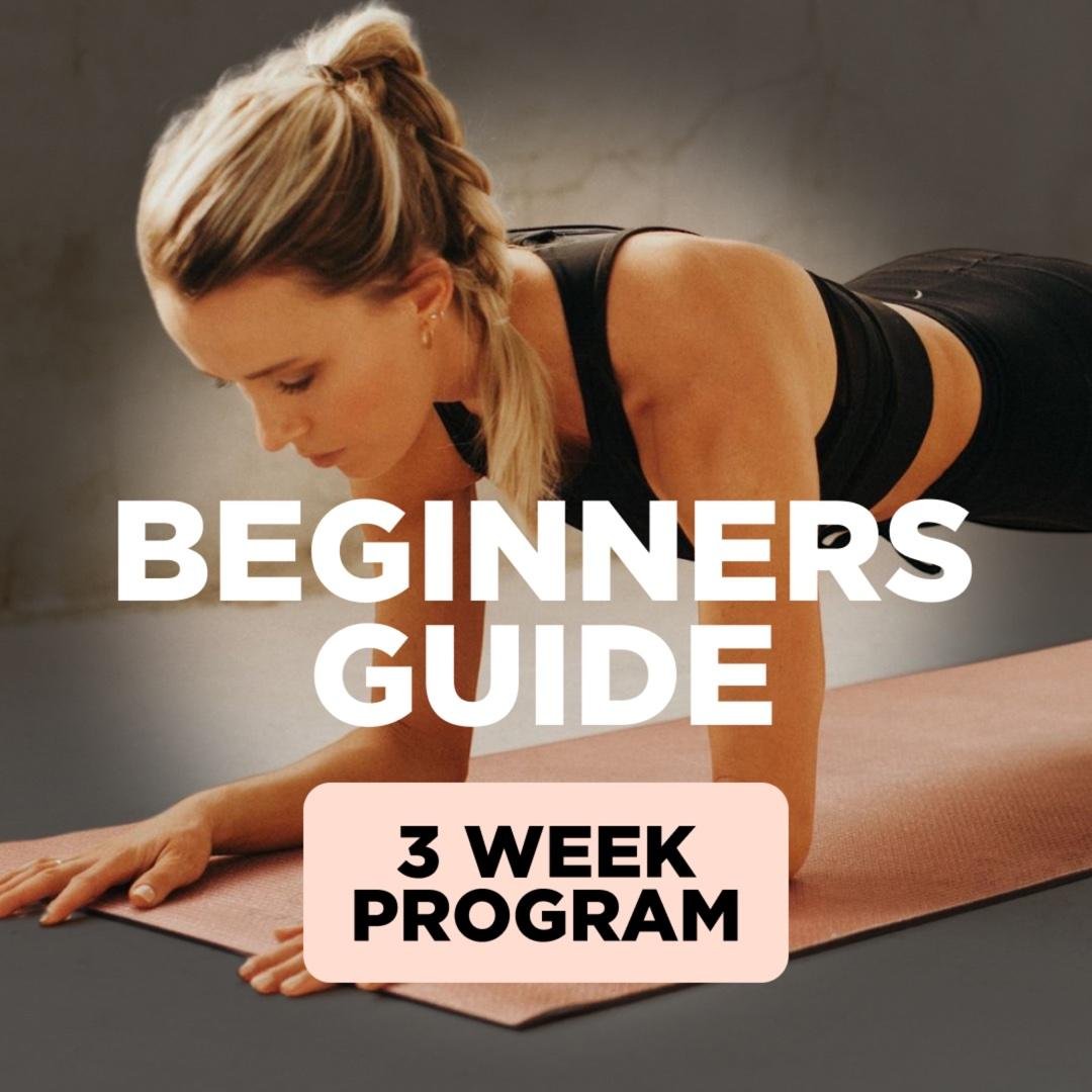 Beginners Guide