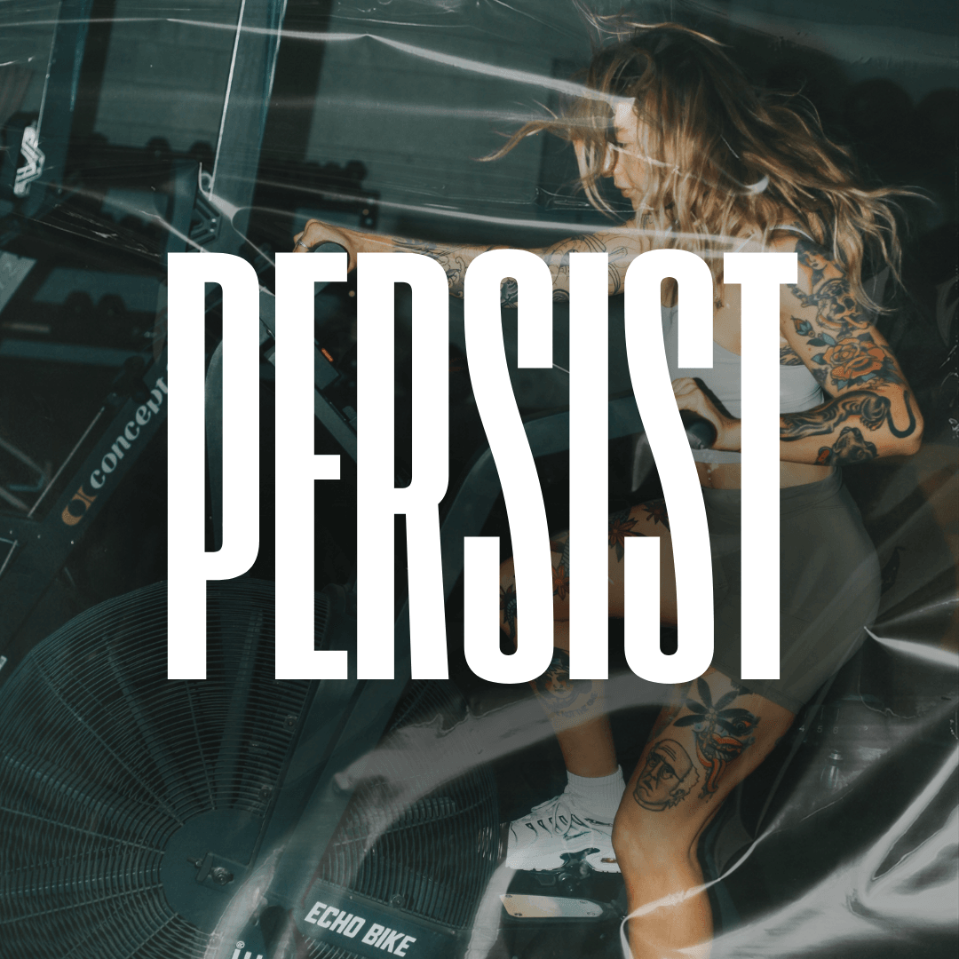 PERSIST