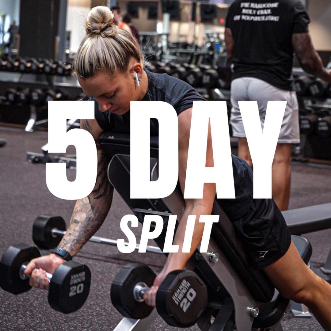 5-Day Split