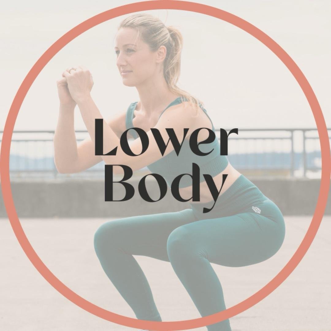 Lower Body Workouts