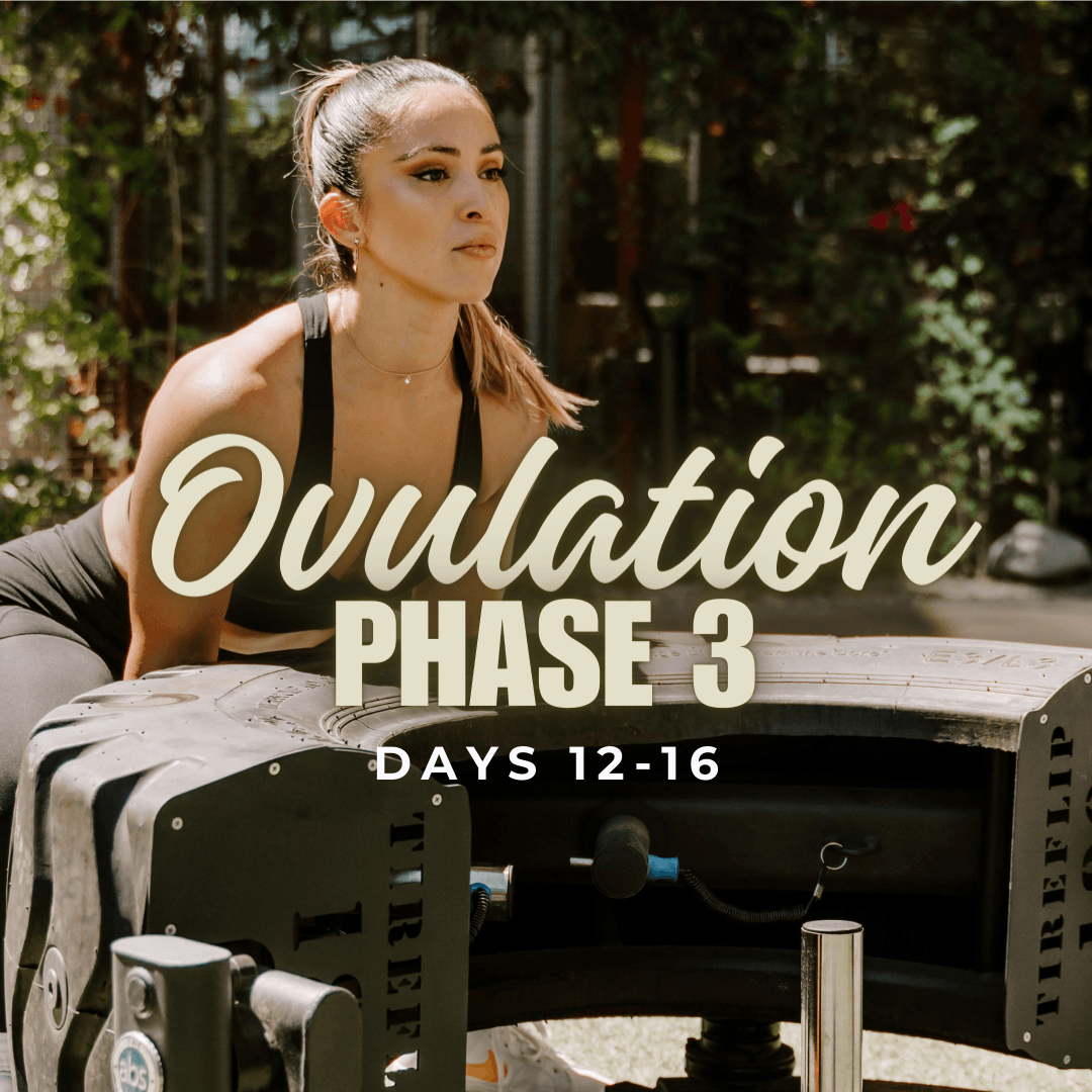 Phase 3/Days 12-16