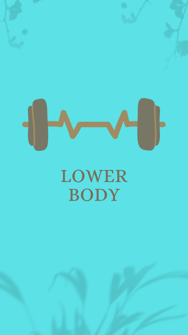 Lower Body
