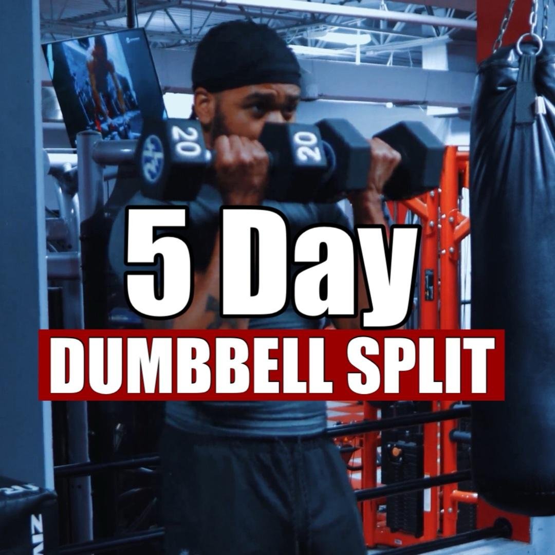 Dumbbell Workout Split