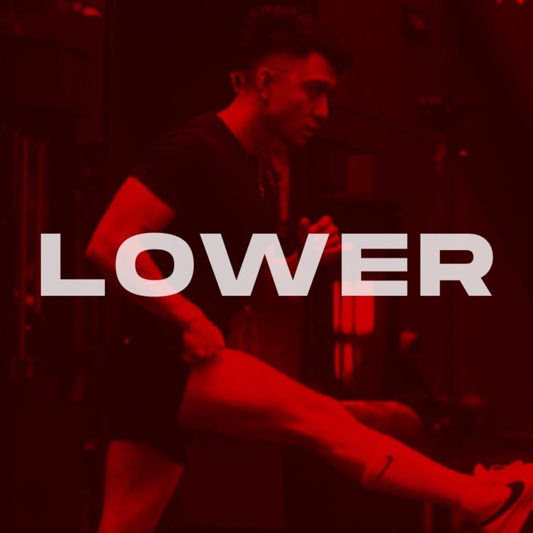 Lower Body